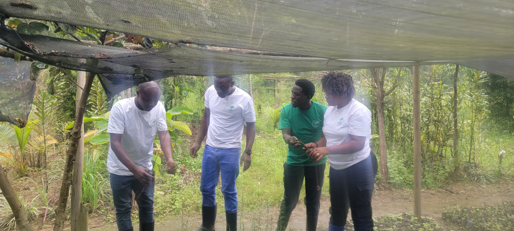 Environmental learning and collaboration